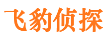 肃宁外遇出轨调查取证